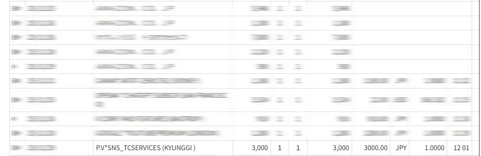 ピーコレ購入明細