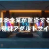安全な有料アダルトサイト（日本企業運営）
